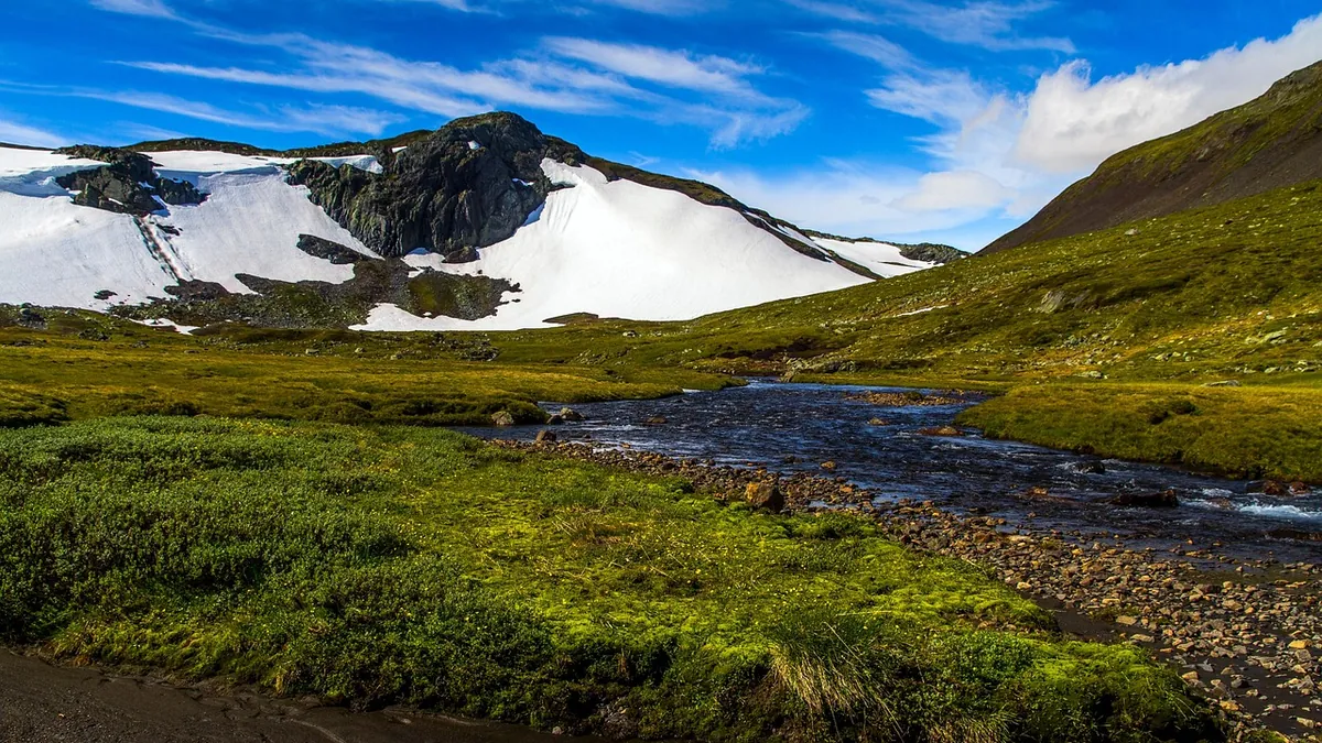 Yayla Sezonunda Ulaşım: Ne Zaman, Nasıl?